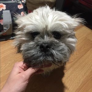 Meet your Posher, Guadalupe